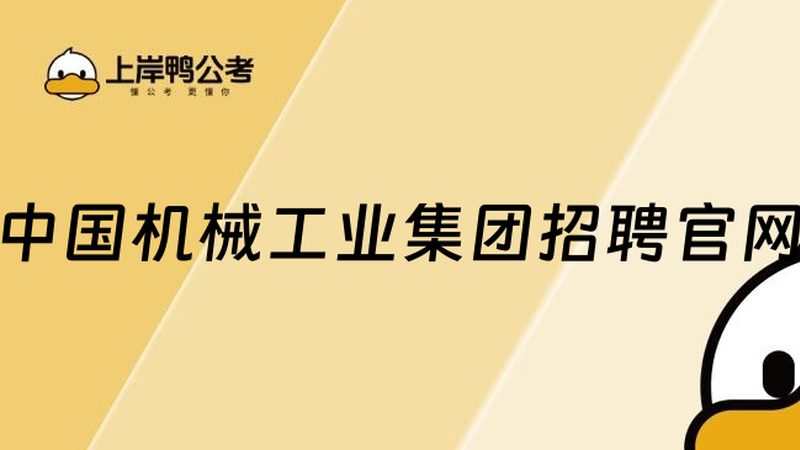 PVC传送带：揭秘其价格构成与选购要点